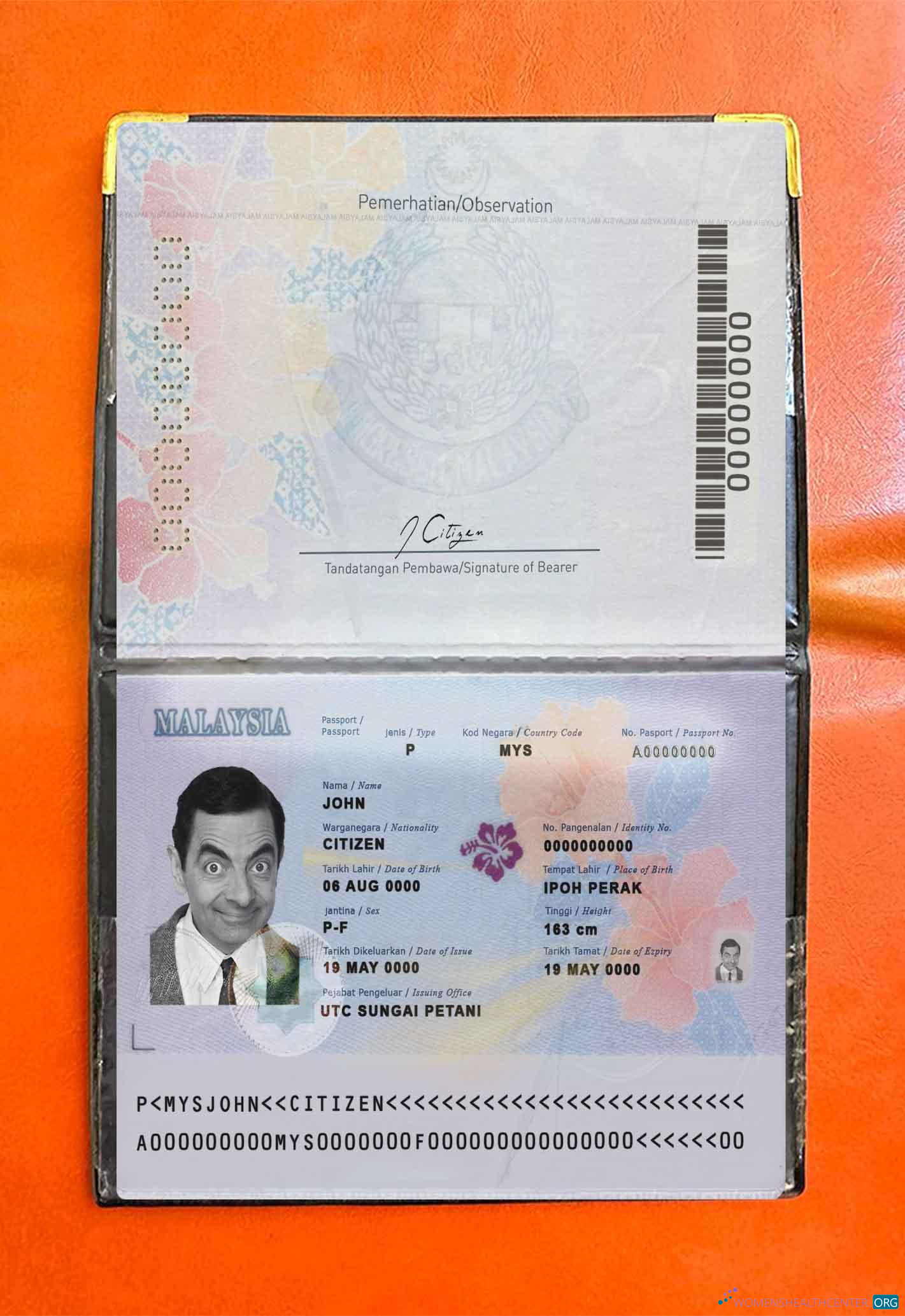 Download Malaysia passport (2017 present) photo look Photoshop template